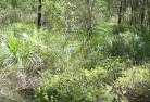 Lansdowne NSWsustainable-landscaping-21.jpg; ?>